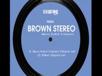 Brown Stereo, Akuna Kuthul’ Endaweni, Sizwe Sigudhla, mp3, download, datafilehost, fakaza, Afro House 2018, Afro House Mix, Afro House Music, House Music