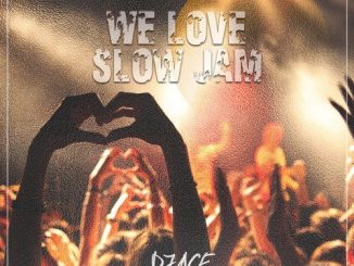 EP, DJ Ace, We Love Slow Jam, download ,zip, zippyshare, fakaza, EP, datafilehost, album