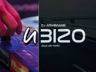 DJ Mshimane, uBizo, mp3, download, datafilehost, fakaza, Afro House 2018, Afro House Mix, Afro House Music, House Music