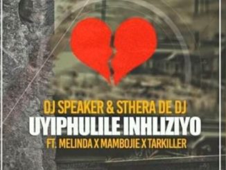 DJ Speaker, Sthera De DJ, Uyiphulile Inhliziyo, Melinda, Mambojie, Tarkiller, mp3, download, datafilehost, fakaza, Afro House 2018, Afro House Mix, Afro House Music, House Music