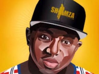 DJ Speedo SA, If I Was Shimza, mp3, download, datafilehost, fakaza, Afro House 2018, Afro House Mix, Afro House Music, House Music