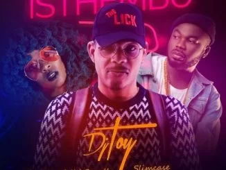 DJ Toy, Isthembu, Moonchild, Slimcase, mp3, download, datafilehost, toxicwap, fakaza