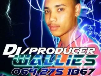 DJ Wallies, Woza Bang Gqom Mix, mp3, download, datafilehost, fakaza, Gqom Beats, Gqom Songs, Gqom Music, Gqom Mix