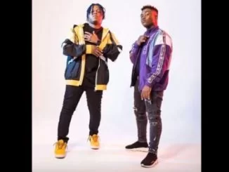 Distruction Boyz, N3, mp3, download, datafilehost, fakaza, Gqom Beats, Gqom Songs, Gqom Music, Gqom Mix