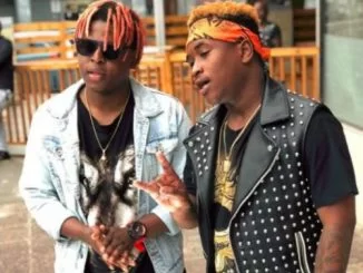 Distruction Boyz, Summer Bass, mp3, download, datafilehost, fakaza, Gqom Beats, Gqom Songs, Gqom Music, Gqom Mix