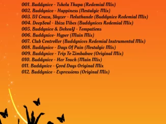 Dj Malebza, Tech Me Home Episode 15, September, 2018, Tech Me Home, mp3, download, datafilehost, fakaza, Deep House Mix, Deep House, Deep House Music, House Music, DJ PODCASTS, DJ MIX