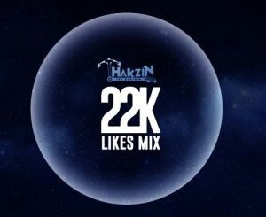 Dj Thakzin, 22K Likes Mix, mp3, download, datafilehost, fakaza, DJ Mix