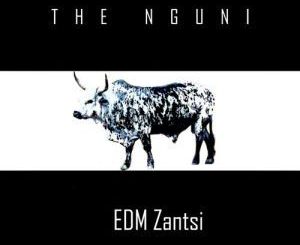 EDM Zantsi, The Nguni, mp3, download, datafilehost, fakaza, Afro House 2018, Afro House Mix, Afro House Music, House Music