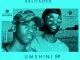 EmoBoys Reloaded, UMSHINI, mp3, download, datafilehost, fakaza, Afro House 2018, Afro House Mix, Afro House Music, House Music