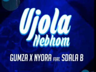 Gumza & Nyora, Ujola Nebhom, Sdala B, mp3, download, datafilehost, fakaza, Gqom Beats, Gqom Songs, Gqom Music, Gqom Mix