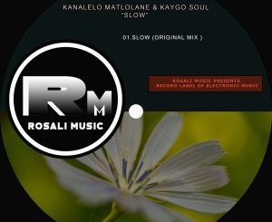 Kananelo Matlolane, Kaygo Soul, Slow (Original Mix), mp3, download, datafilehost, fakaza, Afro House 2018, Afro House Mix, Afro House Music, House Music