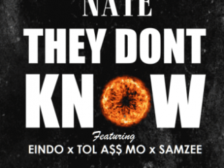 Nate, They Don’t Know, Eindo, Tol A$ Mo, Samzee, mp3, download, datafilehost, fakaza, Afro House 2018, Afro House Mix, Afro House Music, House Music