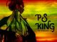 P.S King, The Commander, download ,zip, zippyshare, fakaza, EP, datafilehost, album, Afro House 2018, Afro House Mix, Afro House Music, House Music