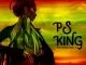 P.S King, The Commander, download ,zip, zippyshare, fakaza, EP, datafilehost, album, Afro House 2018, Afro House Mix, Afro House Music, House Music