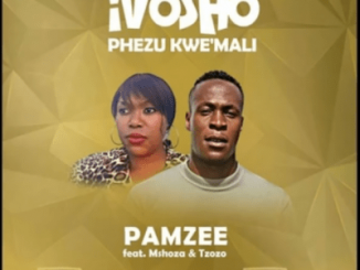 Pamzee, Ivosho Phezu Kwemali, Mshoza, Tzozo, mp3, download, datafilehost, fakaza, Gqom Beats, Gqom Songs, Gqom Music, Gqom Mix