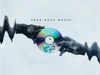 Parkboyz Music, Broken Heart (Remix), Ofentse, mp3, download, datafilehost, fakaza, Afro House 2018, Afro House Mix, Afro House Music, House Music
