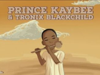 Prince Kaybee, Tronix BlackChild, Talking Flute (Original Mix), mp3, download, datafilehost, fakaza, Afro House 2018, Afro House Mix, Afro House Music, House Music