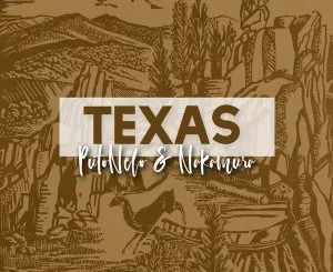 PutoNelo, Nakamura, Texas (Original Mix), mp3, download, datafilehost, fakaza, Afro House 2018, Afro House Mix, Afro House Music, House Music