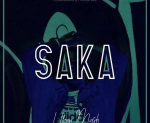 Saka, Hlogi Mash, mp3, download, datafilehost, fakaza, Gqom Beats, Gqom Songs, Gqom Music, Gqom Mix