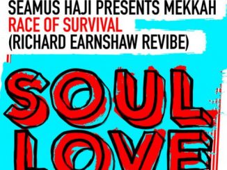 Seamus Haji, Mekkah, Race Of Survival (Richard Earnshaw Extended ReVibe), mp3, download, datafilehost, fakaza, Afro House 2018, Afro House Mix, Afro House Music, House Music