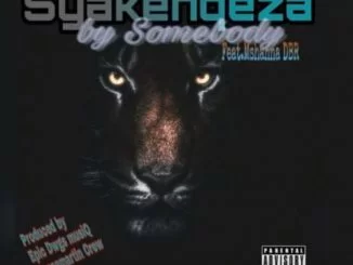 Somebody, Syakenqeza, Mshana DBR, mp3, download, datafilehost, fakaza, Gqom Beats, Gqom Songs, Gqom Music, Gqom Mix