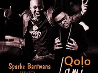 Sparks Bantwana, Qolo Lami, DJ Sox , mp3, download, datafilehost, fakaza, Gqom Beats, Gqom Songs, Gqom Music, Gqom Mix