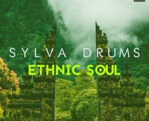 Sylva Drums, My Groove (Kazukuta Mix), mp3, download, datafilehost, fakaza, Afro House 2018, Afro House Mix, Afro House Music, House Music