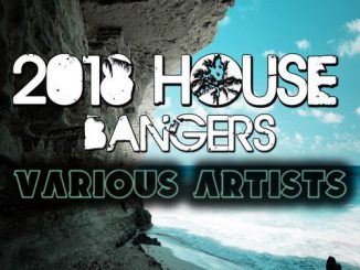 VA, 2018 House Bangers, download ,zip, zippyshare, fakaza, EP, datafilehost, album, Afro House 2018, Afro House Mix, Afro House Music, House Music