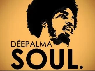 VA, Déepalma Soul, The Collection, download ,zip, zippyshare, fakaza, EP, datafilehost, album, Soulful House Mix, Soulful House, Soulful House Music, House Music