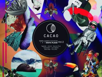 VA, There’s Always Cacao In Exotic Places Vol. 2, download ,zip, zippyshare, fakaza, EP, datafilehost, album, Afro House 2018, Afro House Mix, Afro House Music, House Music