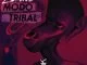 Zakente, Modo Tribal (Original Mix), mp3, download, datafilehost, fakaza, Afro House 2018, Afro House Mix, Afro House Music, House Music