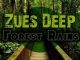 Zues Deep, Forest Rains (Original Mix), mp3, download, datafilehost, fakaza, Deep House Mix, Deep House, Deep House Music, House Music