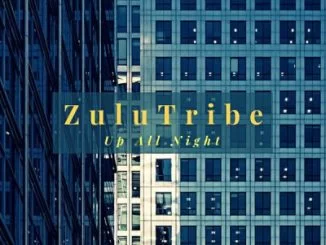 Zulu Tribe, Up All Night, mp3, download, datafilehost, fakaza, Afro House 2018, Afro House Mix, Afro House Music, House Music