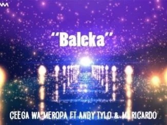 Ceega Wa Meropa, Baleka, Andy Tylo, M Ricardo, mp3, download, datafilehost, fakaza, Afro House 2018, Afro House Mix, Afro House Music, House Music