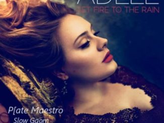 Adele, Set Fire To The Rain, Plate Maestro, Slow Gqom Remake, mp3, download, datafilehost, fakaza, Gqom Beats, Gqom Songs, Gqom Music, Gqom Mix