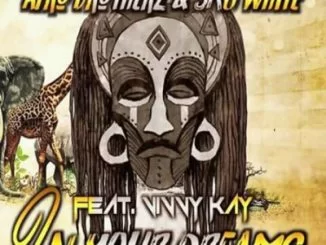 Afro Brotherz, SkyWhite, In Your Dreams, Vinny Kay, mp3, download, datafilehost, fakaza, Afro House 2018, Afro House Mix, Afro House Music, House Music