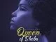 Blizzard Beats, Queen of Sheba, mp3, download, datafilehost, fakaza, Afro House 2018, Afro House Mix, Afro House Music, House Music