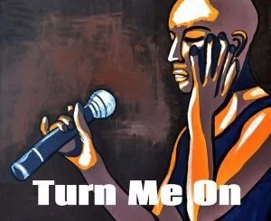 Blizzard Beats, Turn Me On, Ayanda, mp3, download, datafilehost, fakaza, Afro House 2018, Afro House Mix, Afro House Music, House Music
