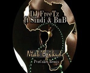 DJ FreeTz, Ntab’ Ezikude, PvnCakes Rem, Sindi, BnB, mp3, download, datafilehost, fakaza, Afro House 2018, Afro House Mix, Afro House Music, House Music