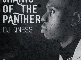 DJ Qness, Chants Of the Panther (Original Mix), mp3, download, datafilehost, fakaza, Afro House, Afro House 2018, Afro House Mix, Afro House Music, House Music