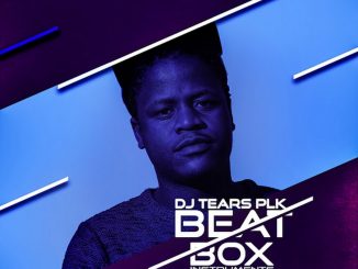 DJ Tears PLK, Beat Box Vol. 3 (Instruments), download ,zip, zippyshare, fakaza, EP, datafilehost, album, Afro House 2018, Afro House Mix, Afro House Music, House Music