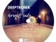 DeepTronik, Bright Side, download ,zip, zippyshare, fakaza, EP, datafilehost, album, Deep House Mix, Deep House, Deep House Music, Deep Tech, Afro Deep Tech, House Music