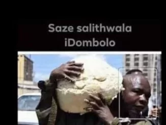 Dings, Sal’thwala Idombolo, mp3, download, datafilehost, fakaza, Afro House, Afro House 2018, Afro House Mix, Afro House Music, House Music