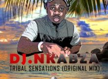 Dj Nkabza, Tribal Sensations (Original Mix), mp3, download, datafilehost, fakaza, Tribal House, Tribal House 2018, Tribal House Mix, Tribal House Music, House Music