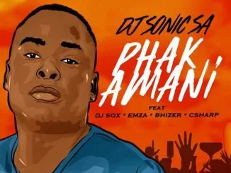 Dj Sonic SA, Dj Sox, Emza, Bhizer, C Sharp, Phakamani, mp3, download, datafilehost, fakaza, DJ Mix mp3, download, datafilehost, fakaza, Gqom Beats, Gqom Songs, Gqom Music, Gqom Mix