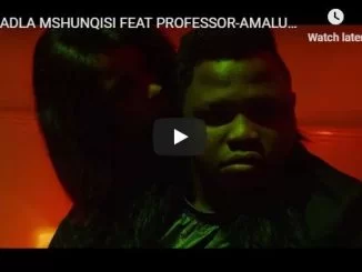 Dladla Mshunqisi, Amalukuluku, Professor, Video, mp3, download, datafilehost, fakaza, Gqom Beats, Gqom Songs, Gqom Music, Gqom Mix