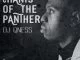 DJ Qness, Chants Of The Panther, download ,zip, zippyshare, fakaza, EP, datafilehost, album, Deep House Mix, Deep House, Deep House Music, Deep Tech, Afro Deep Tech, House Music