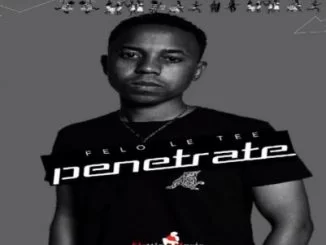Felo Le Tee, Penetrate, mp3, download, datafilehost, fakaza, Afro House 2018, Afro House Mix, Afro House Music, House Music