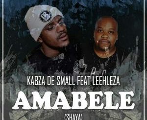 Kabza De Small, Amabele Shaya (Original Mix), Leehleza, mp3, download, datafilehost, fakaza, Afro House, Afro House 2018, Afro House Mix, Afro House Music, House Music