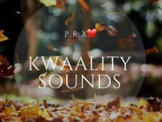 Kwaality Sounds, Road 2Gqom Invasion, mp3, download, datafilehost, fakaza, Gqom Beats, Gqom Songs, Gqom Music, Gqom Mix